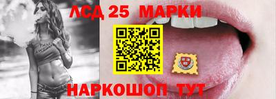 молекула духа Кандалакша