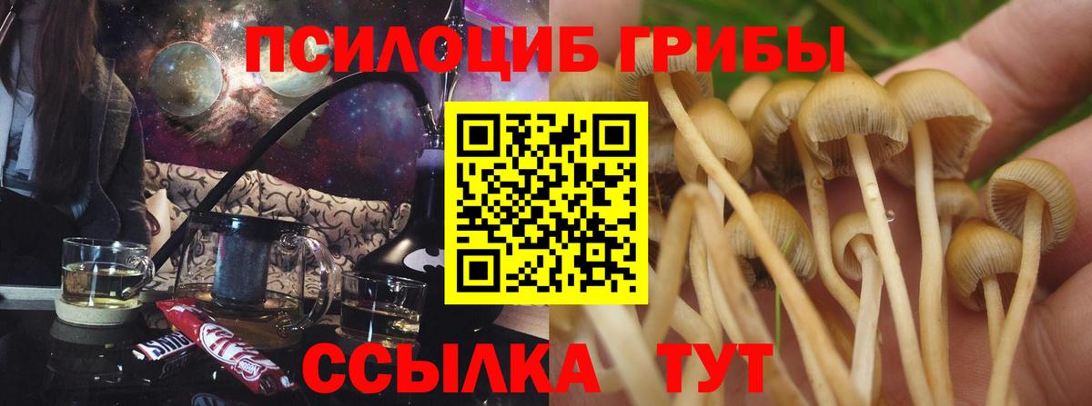 Псилоцибиновые грибы прущие грибы Качканар